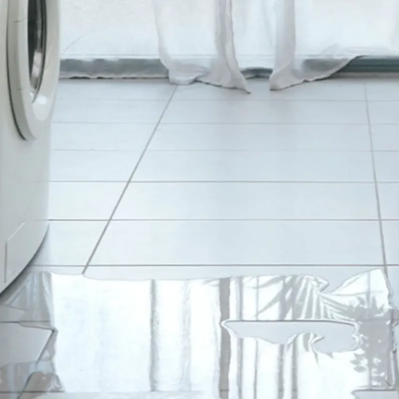 Appliance Leak Cleanup in Pike County, PA